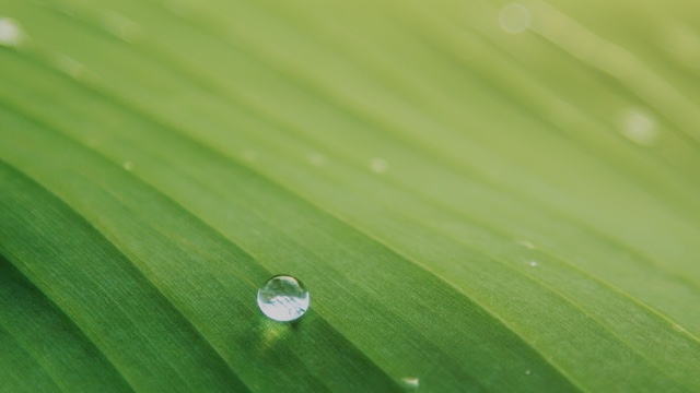 荒漠甘泉