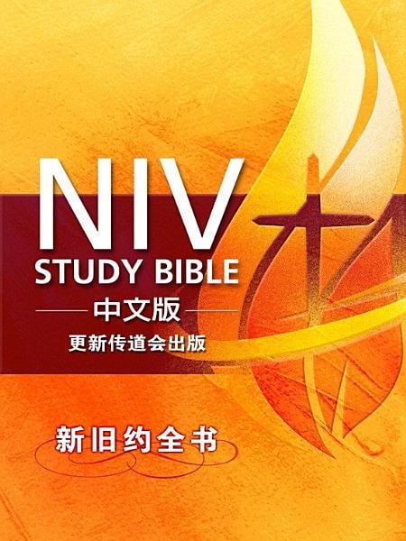 更新版研读本（NIV Study Bible中文版）