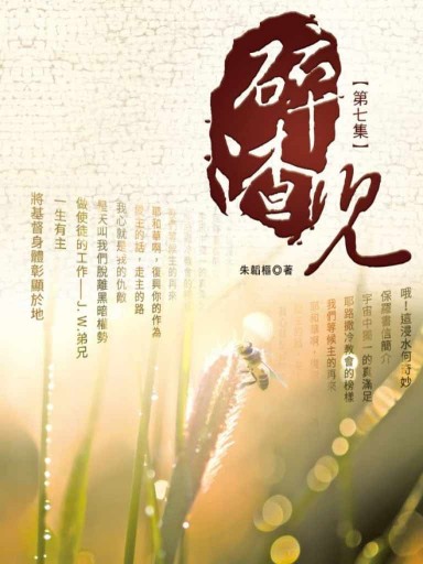 碎渣兒(第七集,繁體版)
