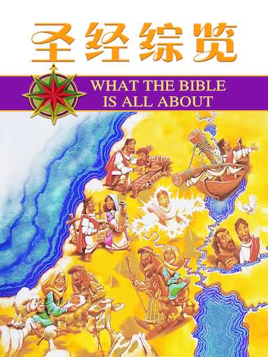 圣经综览