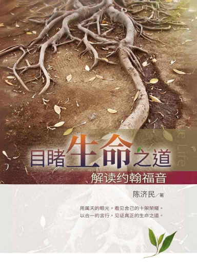 目睹生命之道:解读约翰福音(简体版)