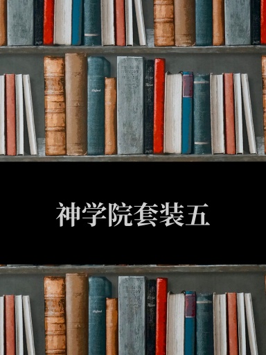 神学院套装五（拍前请咨询客服）