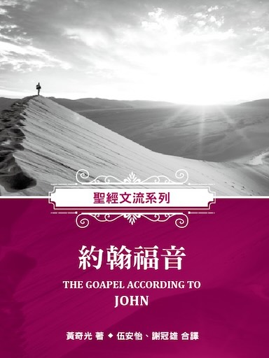 聖經文流系列：約翰福音