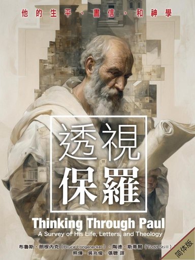 透视保罗：他的生平、书信和神学（简体版）